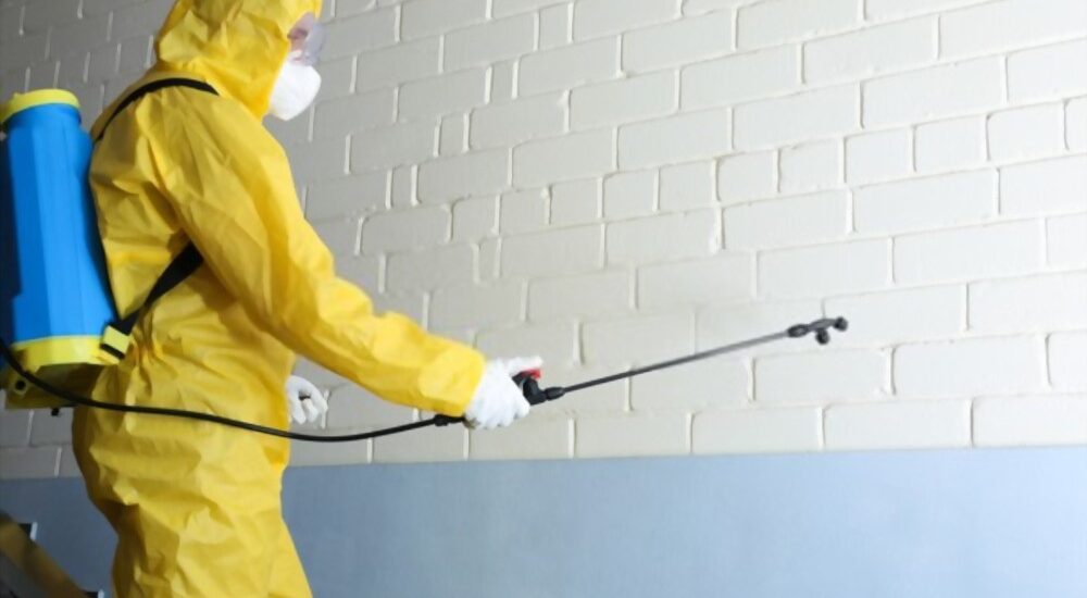 Pest Control Westmead