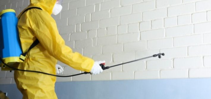 Pest Control Westmead