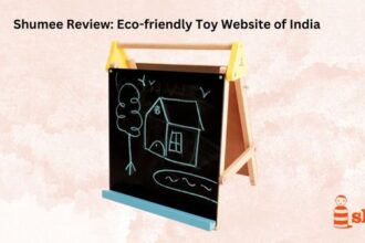 Shumee Review - Eco-friendly Toy Website of India